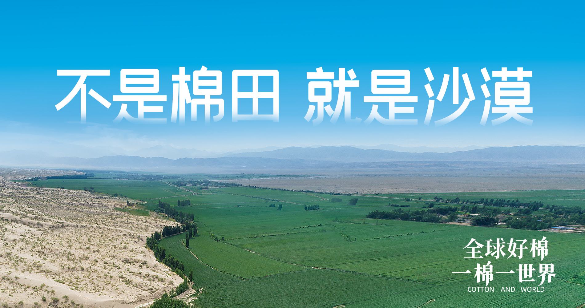 ϣwilliamhillٷվŶ»Ԫ