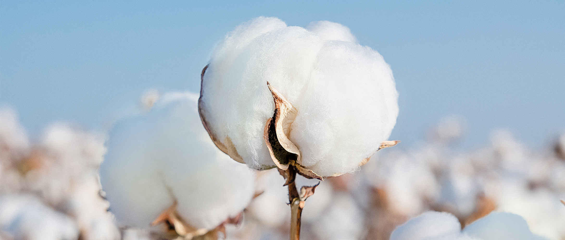 һͼϣwilliamhillٷվ2024ESG